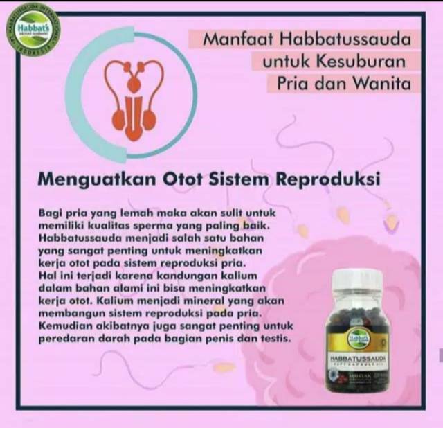 Habbatusauda oil soft capsul promil program hamil Original-6
