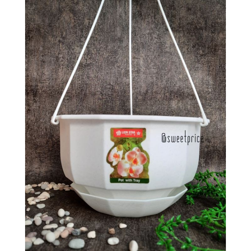 Pot Gantung Lion Star Gardenia Flower #8 + Tatakan Putih / Pot bunga / Pot Plastik