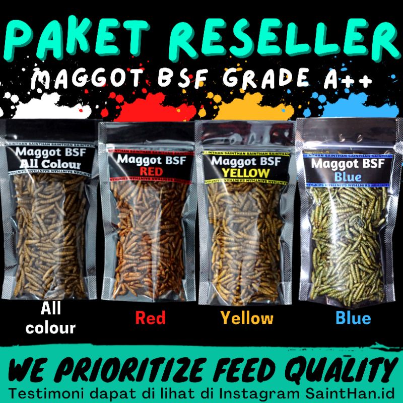 paket Reseller Maggot BSF Grade A++ SaintHan