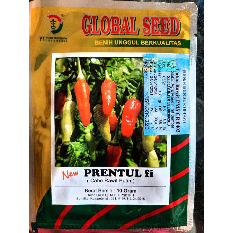 Cabe Rawit putih PRENTUL