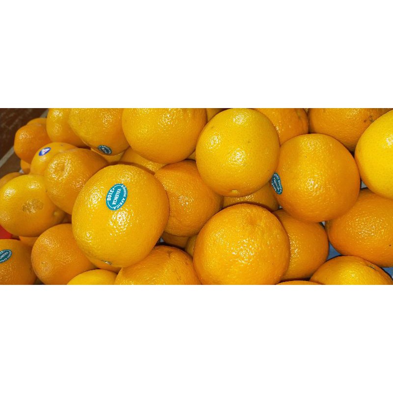 

Jeruk Sunkist 1 kg