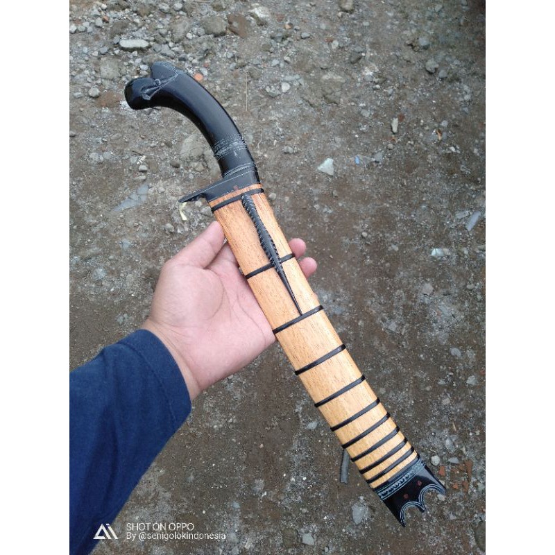 bedog galonggong super