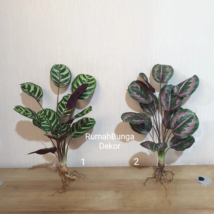 DAUN CALATHEA ARTIFICIAL 12 LEMBAR PREMIUM LATEX