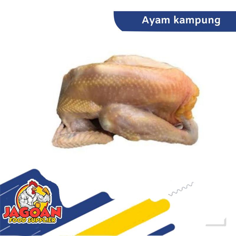 

AYAM KAMPUNG / DAGING SEGAR