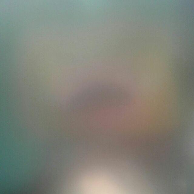 Lunch Bag Animal / Tas Bekal Anak/ Tas Bekal Tahan Panas