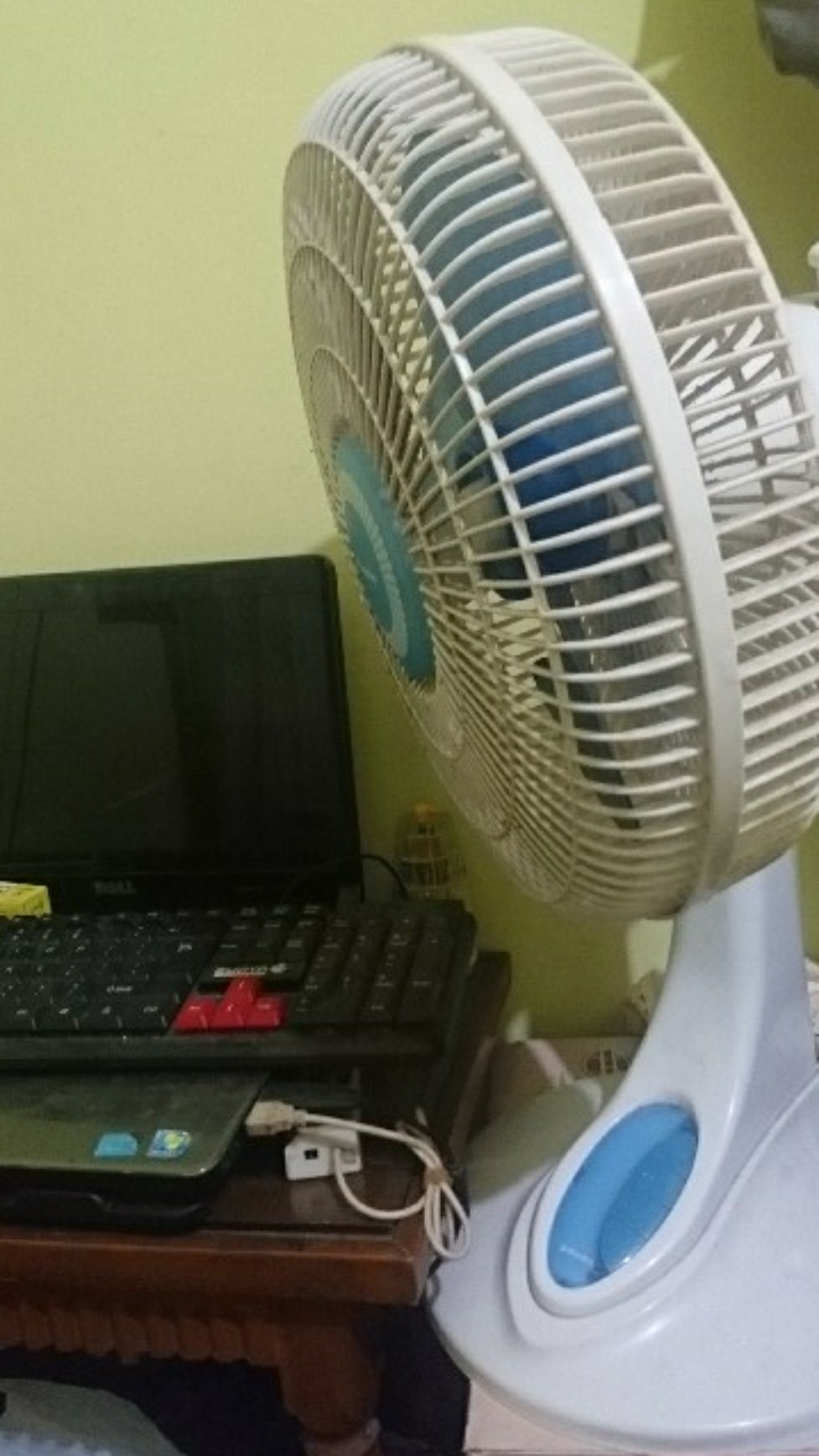 Aigootan Medan Kuas Minyak Silikon Food Grade / Kuas Bbq Sikat Cream Kue Cake Roti / Silicone Brush