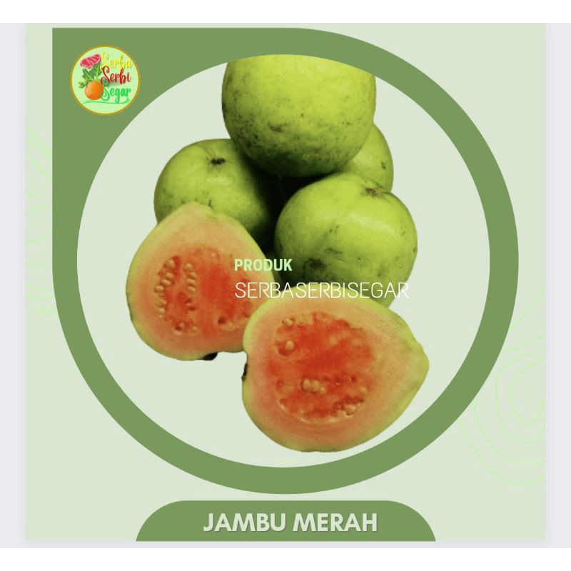 

JAMBU MERAH