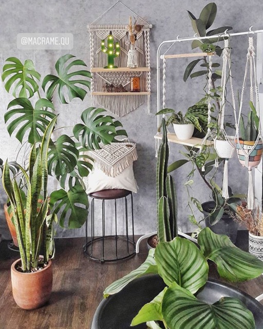 Macrame Ayunan tanaman / Macrame Shelves / Macrame Cushion