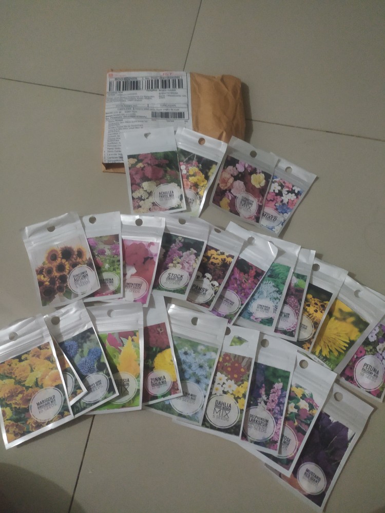 Lavender Hidcote Blue 10 Biji (benih Biji Bibit Tanaman Bunga)