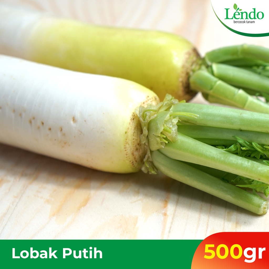 

Lobak Putih