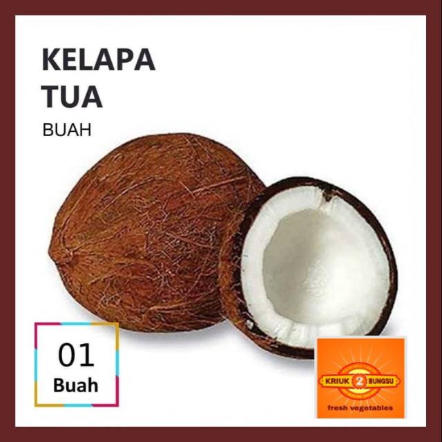 

Buah kelapa / kelapa tua / kelapa santan
