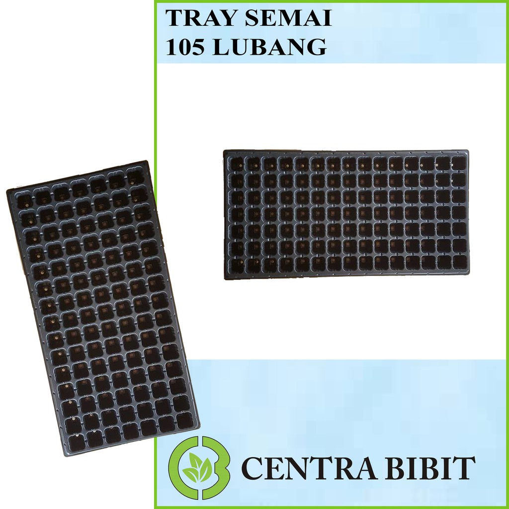 Tray Semai 105 Lubang