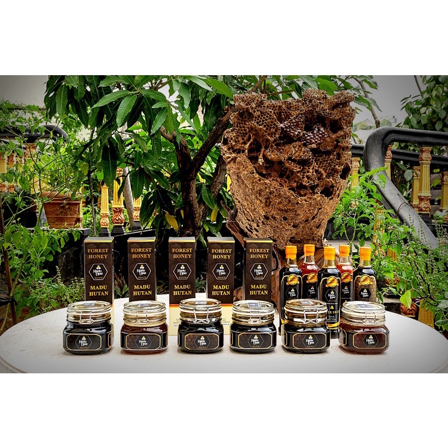 

Madu Hutan asli White Truffle 330ml cocok untuk anak