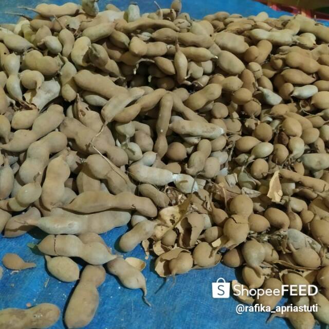 

Asam jawa tanpa biji