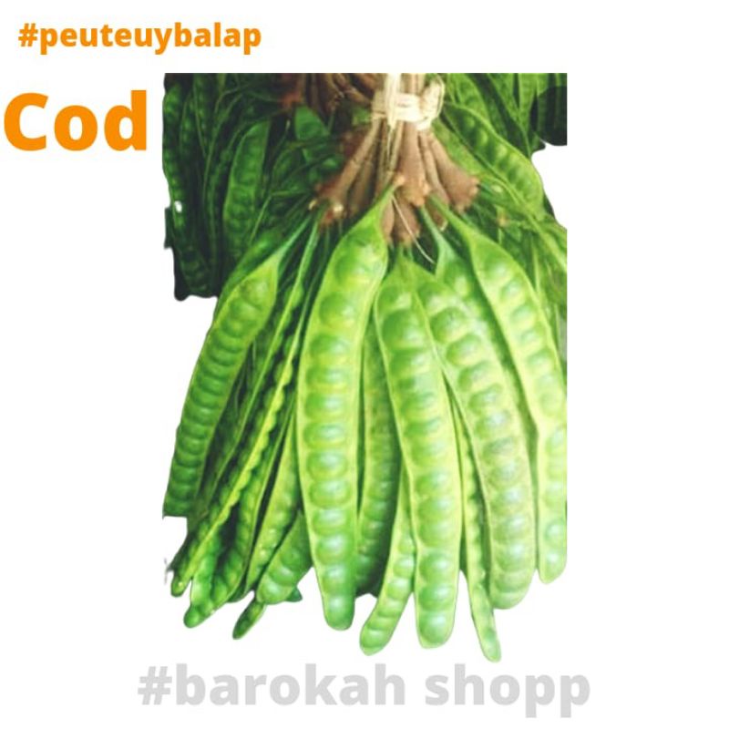 

petai pare/petai termurah