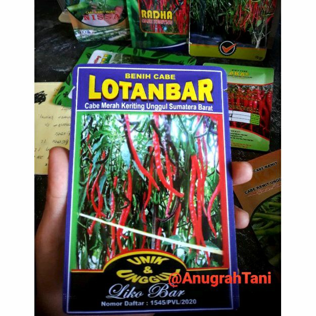 [ BISA COD] bibit cabe LOTANBAR 10 Gram- Bibit Cabe LOTANBAR - CMK LOTANBAR - Benih Cabe Merah Kerit