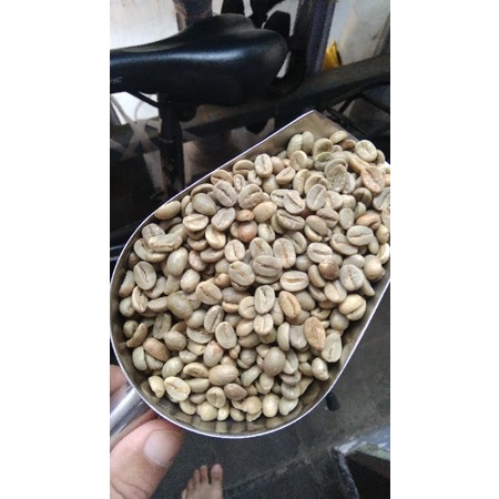 

greenbean Arabika Arjuno budug asu