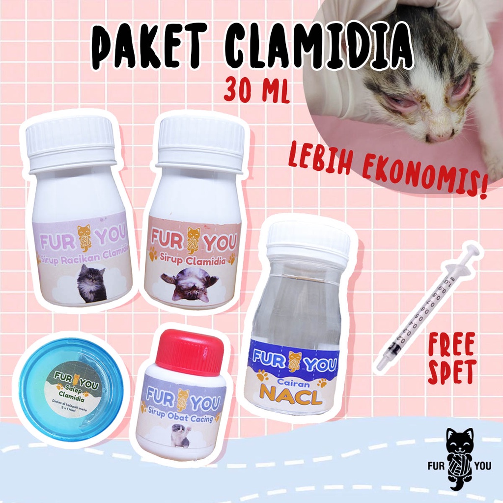 Paket Pengobatan Clamidia Ekonomis Mata Kucing Iritasi Bengkak Berair Belekan dan Bernanah