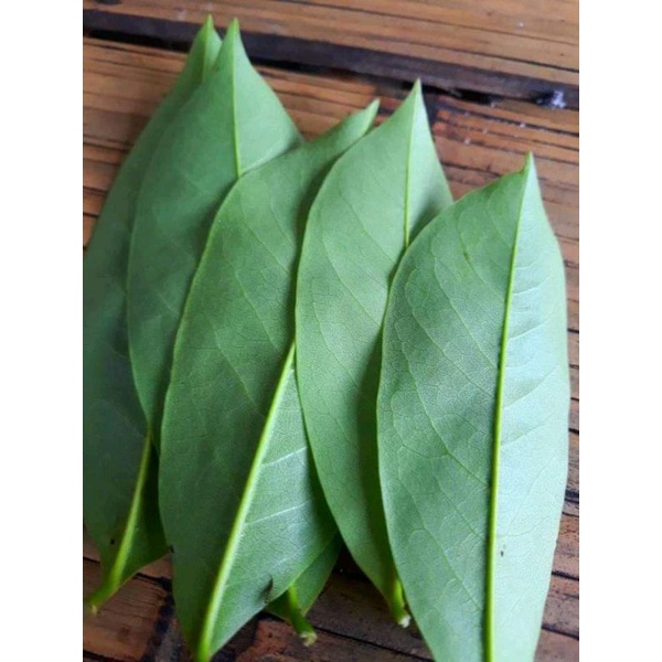 

Daun sirsak 60 lembar anti kanker masih fres
