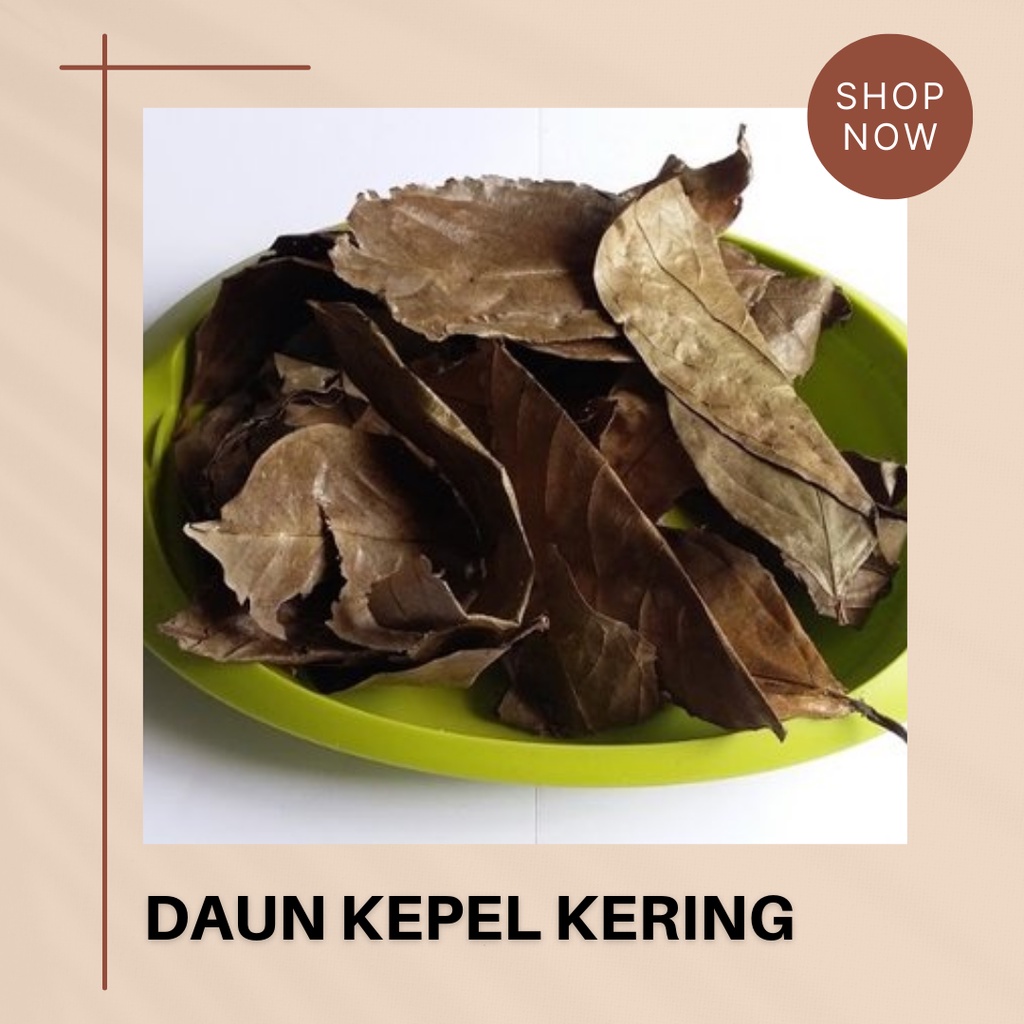 

Daun Kepel Kering Premium Herbal 1 kg & 500 gr