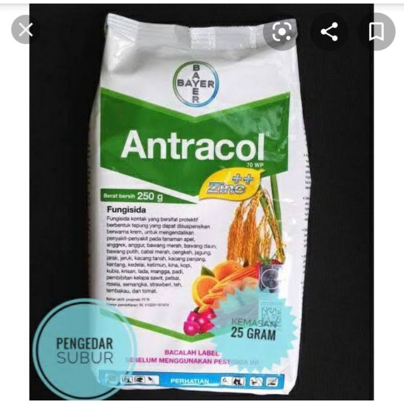 Antracol (fungisida)