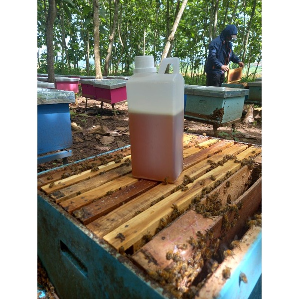 

PROMO 1 Kg Madu Peras Murni Asli Melifera ( Raw Honey )