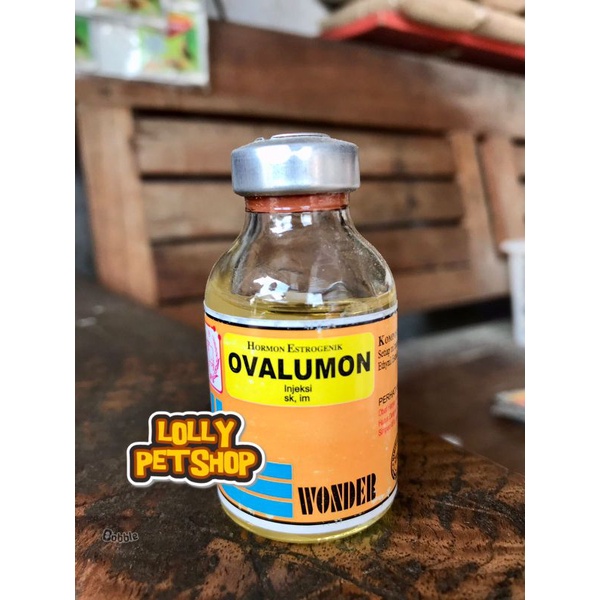 OVALUMON - Obat Penambah Birahi Untuk Hewan Peliharaan Kambing Domba Sapi Kerbau Dll