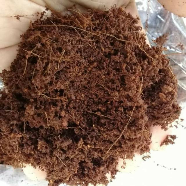 

Media tanam cocopeat sabit kelapa halus 500 gram