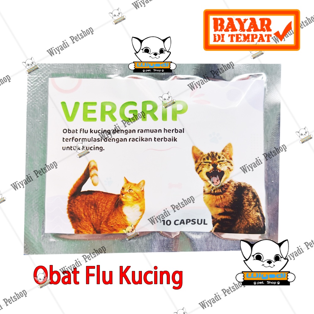 VerGrip Saset Herbal Obat FLU Kucing kitten Ampuh