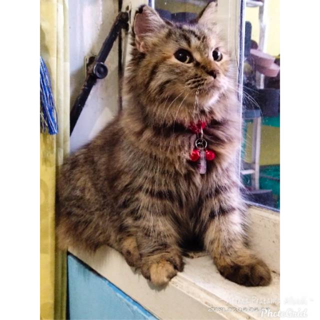 arjunapratamaaffandi