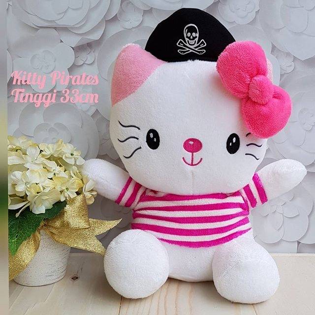 Kitty pirates costume