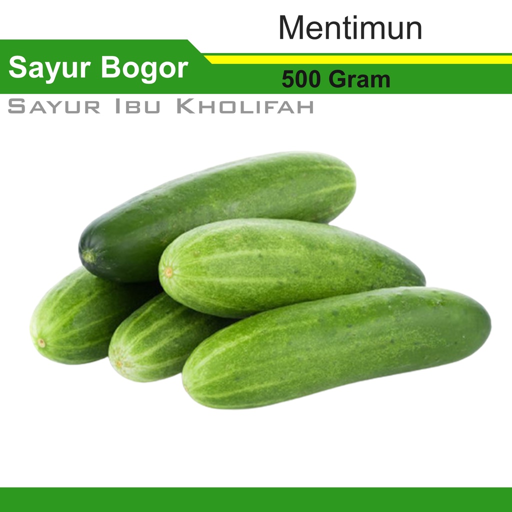 

Timun Mentimun Lokal 500 Gram Makanan Sayur Sayuran Segar Bogor Freshmart