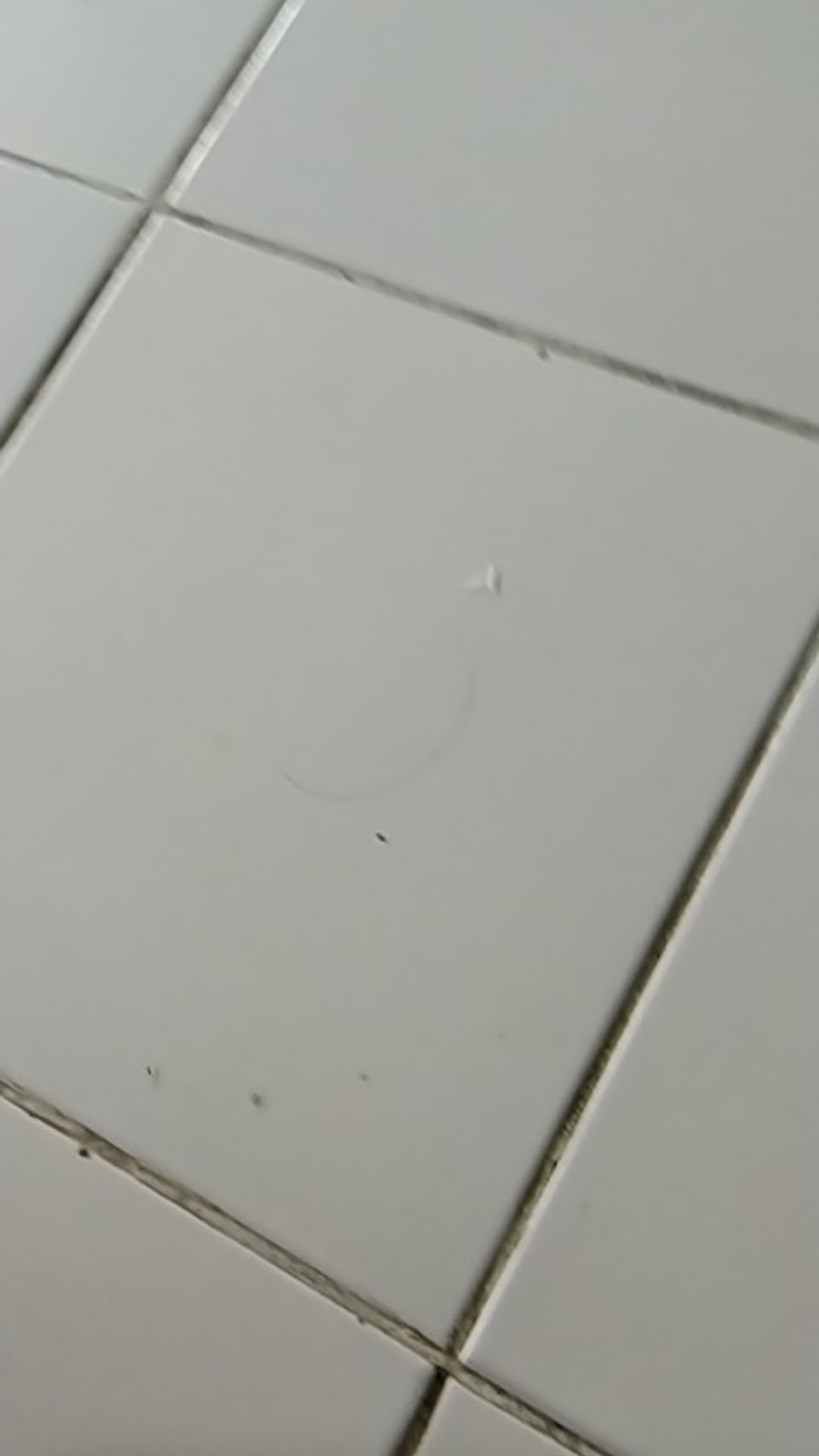 12 Pcs Sendok Makan Motif Stainless Steel Lusinan