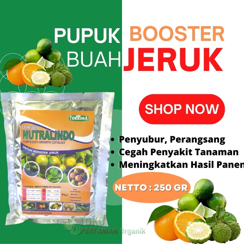 Pupuk Perangsang agar jeruk cepat berbuah, NUTRALINDO Boster organik untuk jeruk limau