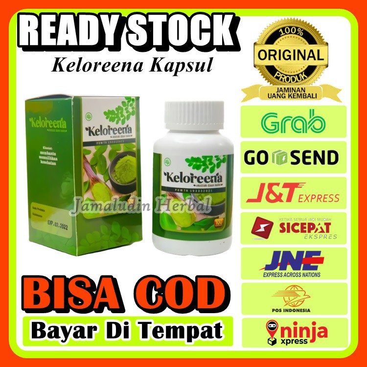 Obat Herbal Atasi Asam Lambung Tinggi Penyakit Gerd Maag Menahun Magh Kronis Daun Kelor Asli Indonesia