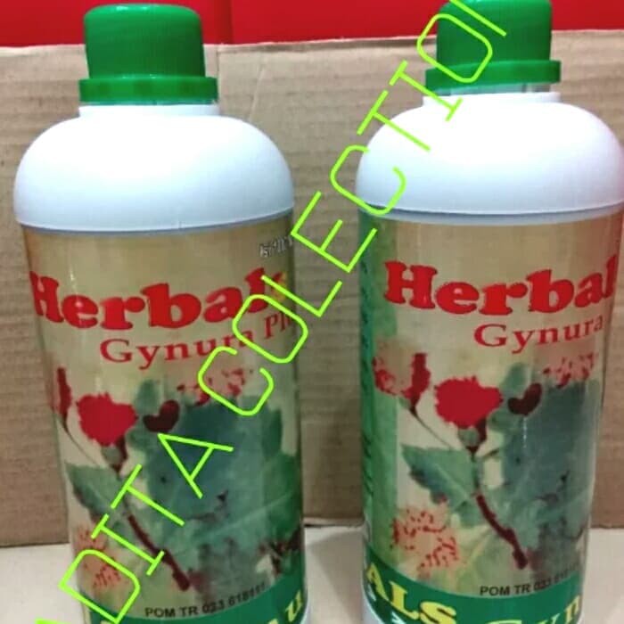 Asli Herbal gynura plus(daun dewa) Manjur