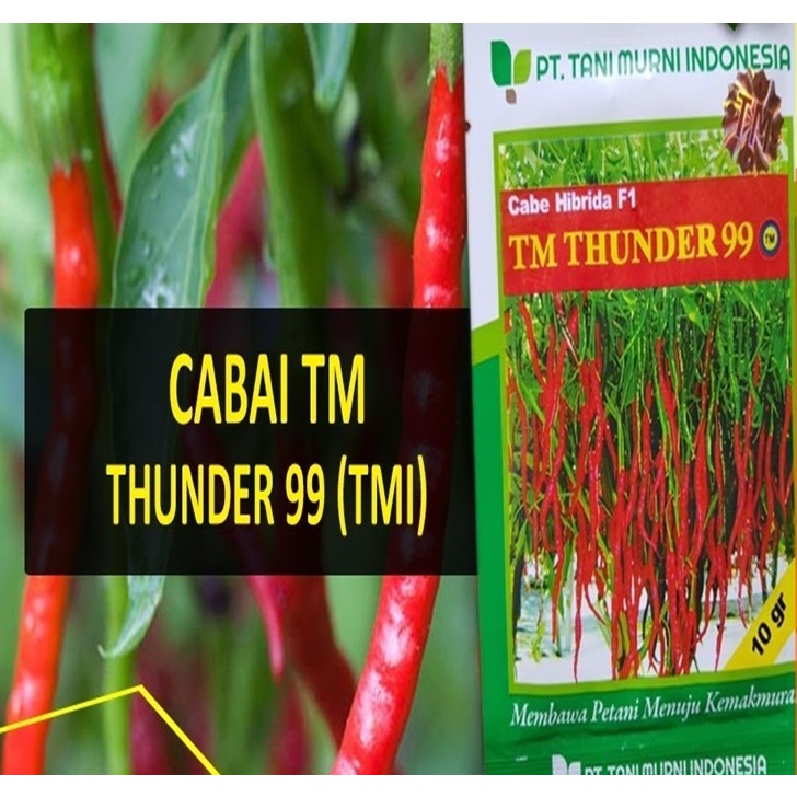 Benih Cabe Keriting TM THUNDER 99 Hibrida F1 10g