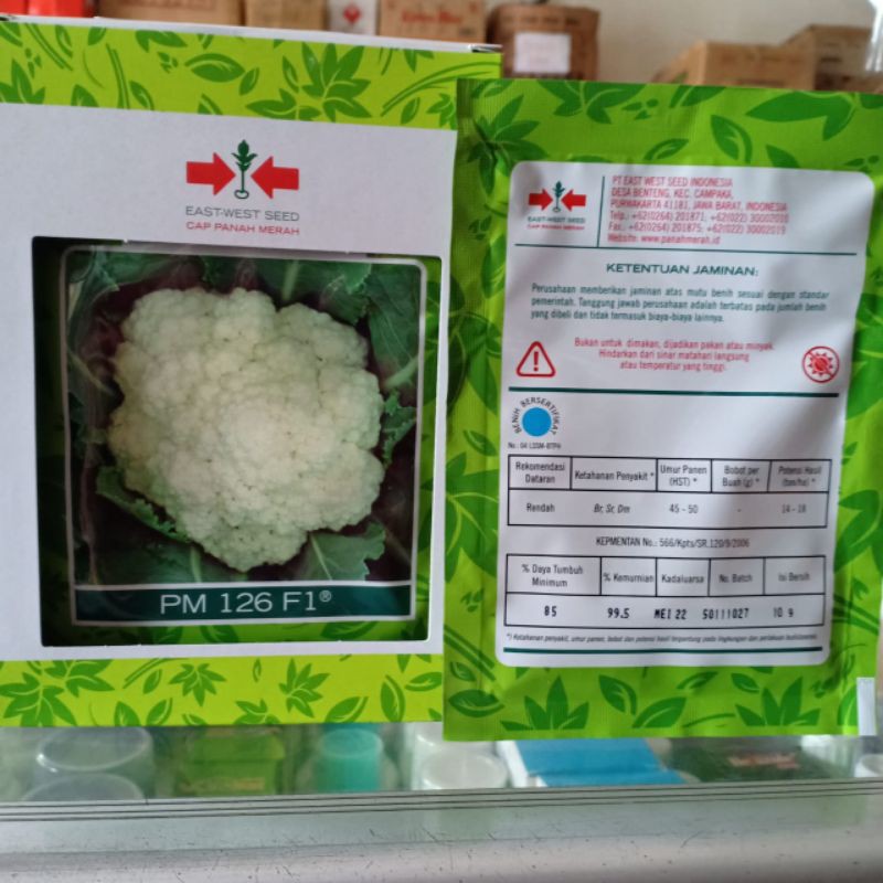 Benih bunga kol Pm 126 cap panah merah