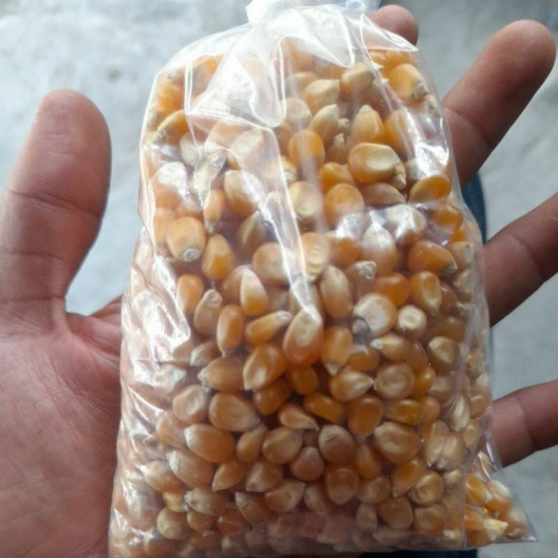 

JAGUNG POPCORN MENTAHAN 250g