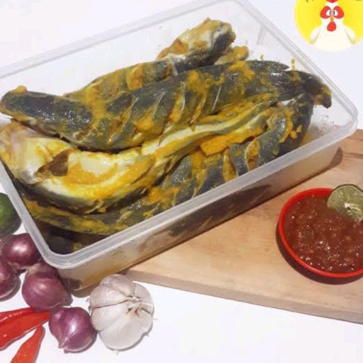 

READY IKAN LELE bumbu Kuning Fresh berat 1 kg isi 7 - 8 ekor sudah termasuk sambel