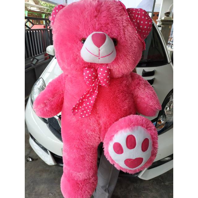 jumbo teddy