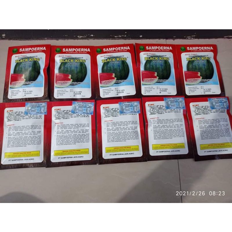 Benih semangka Black king
