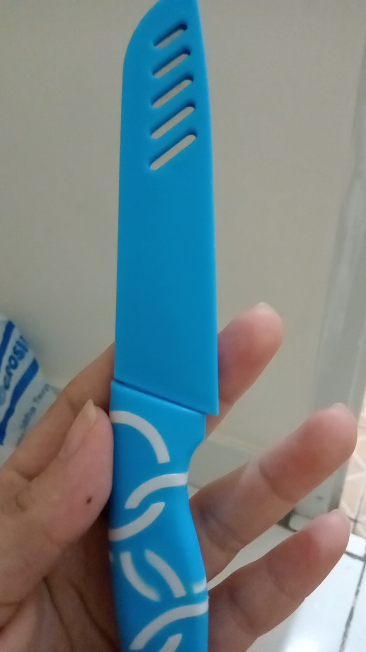 Pisau Dapur Stainless Steel