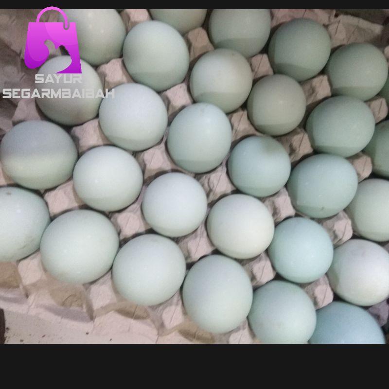 

telur asin matang