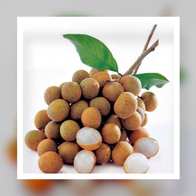 

LENGKENG IMPORT SUPER PER 500 GRAM Rp 34,900