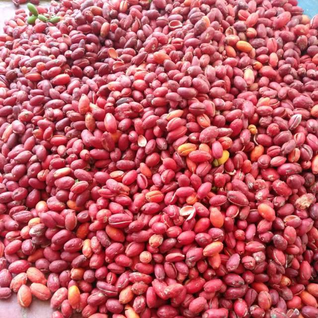 

Kulit Melinjo - 250 Gr