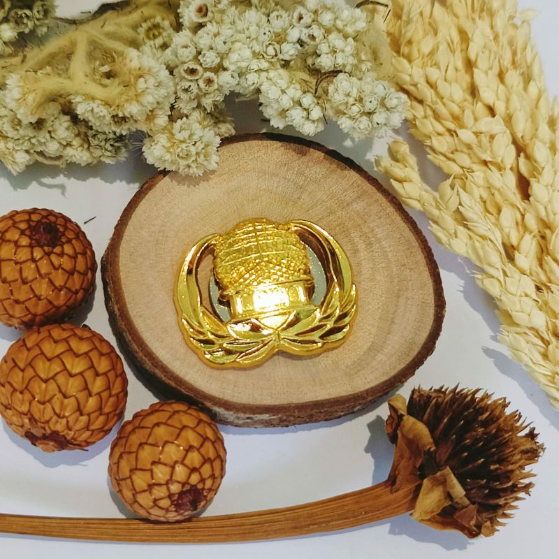Pin Korpri Magnet // Pin Korpri Kuningan Peniti // Pin Korpri Kuningan Magnet
