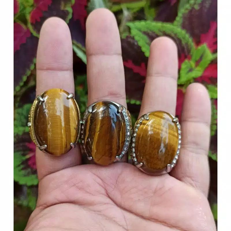 Cincin Batu Akik Macan Lodaya Big Size (N)