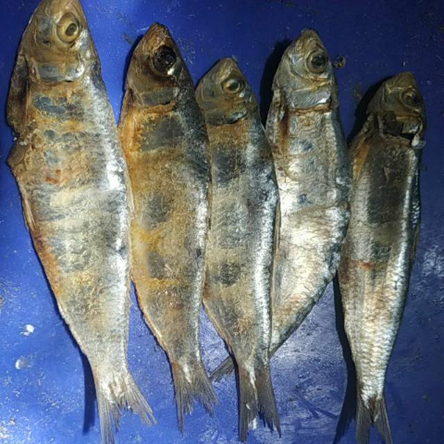 

Ikan Asin Tembang 1Kg