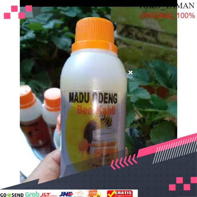 

Madu odeng madu murni asli garut 100% asli original isi 250gr